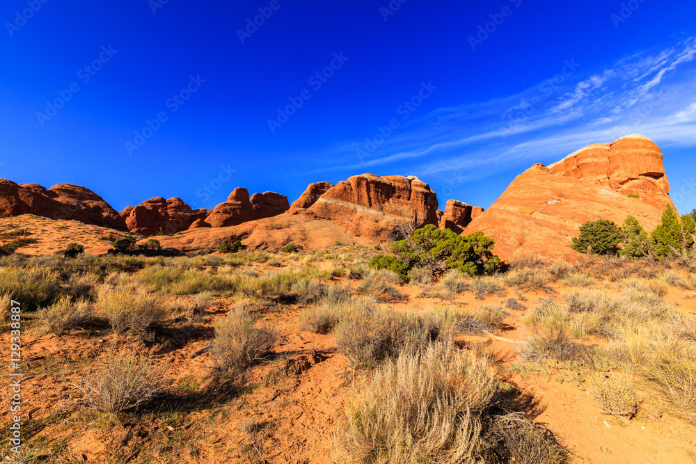 Fototapeta premium Arches National Park