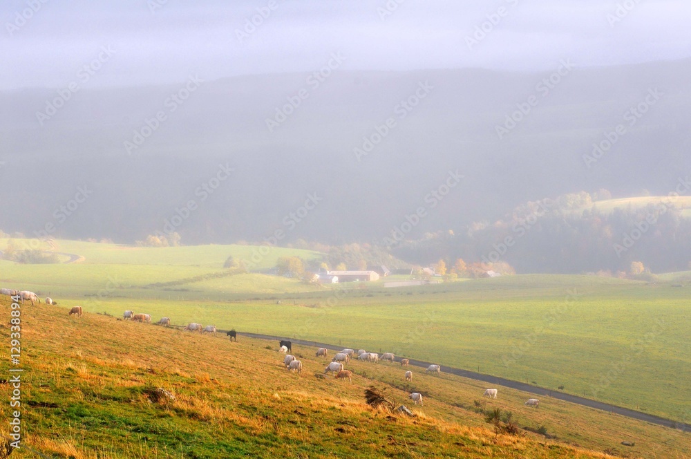 Fototapeta premium chambon sur lac france
