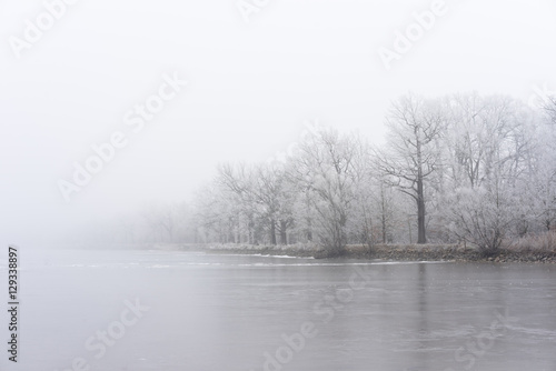 Winter fog on the bank of icy lake. Frozen trees.