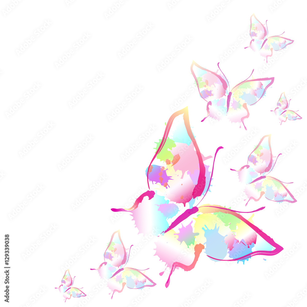 color butterflies,isolated on a white color butterflies,isolated on a white