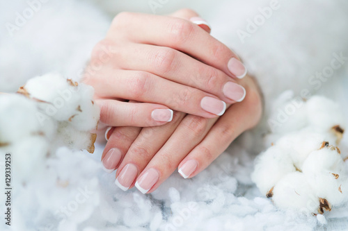 Woman hands with beautiful French manicure holding delicate white cotton flower photo