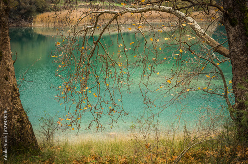 Autumn landscape with green waters of lake Tsivlos, Peloponnese, photo