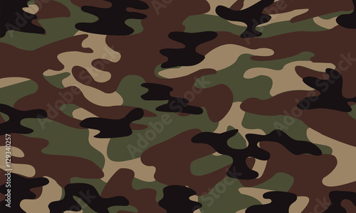 vector background of soldier green camo pattern photo