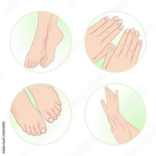 Beautiful female hands and feet, manicure and pedicure. Body care set design vector illustration
