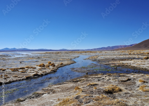 Bolivia, Potosi Departmant, Sur Lipez Province, Eduardo Avaroa Andean Fauna National Reserve, View of the Laguna Salada near hot springs.