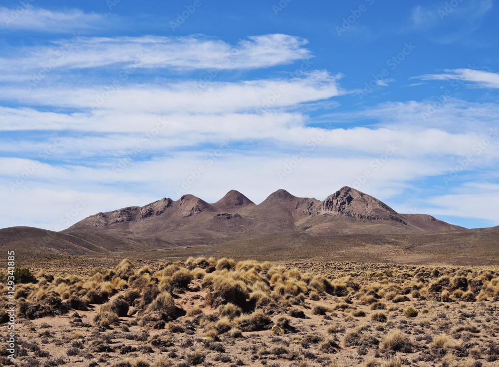 Bolivia, Potosi Department, Landscape of the Sur Lipez Province.