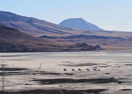 Bolivia, Potosi Departmant, Landscape of the Nor Lipez Province.