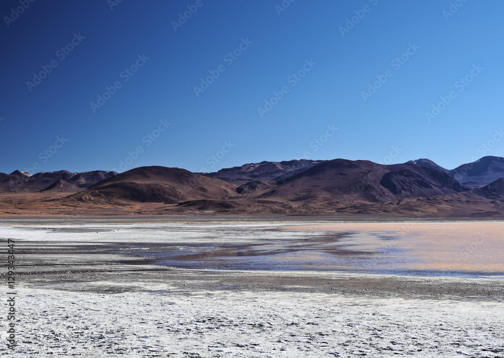 Bolivia, Potosi Departmant, Sur Lipez Province, Eduardo Avaroa Andean Fauna National Reserve, Landscape of the Laguna Colorada.