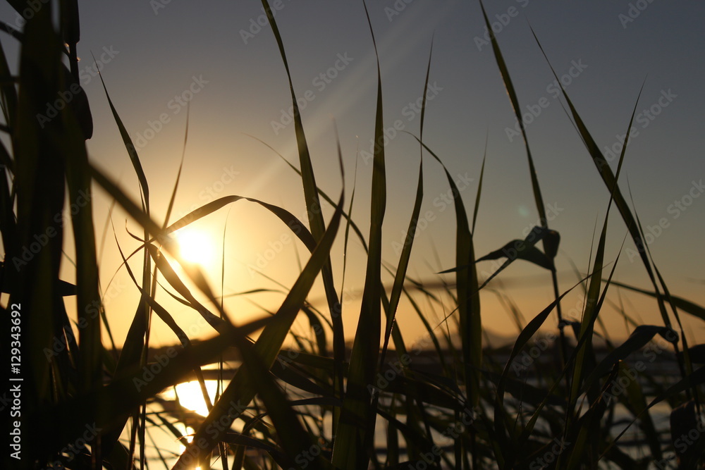 Fototapeta premium Infinito