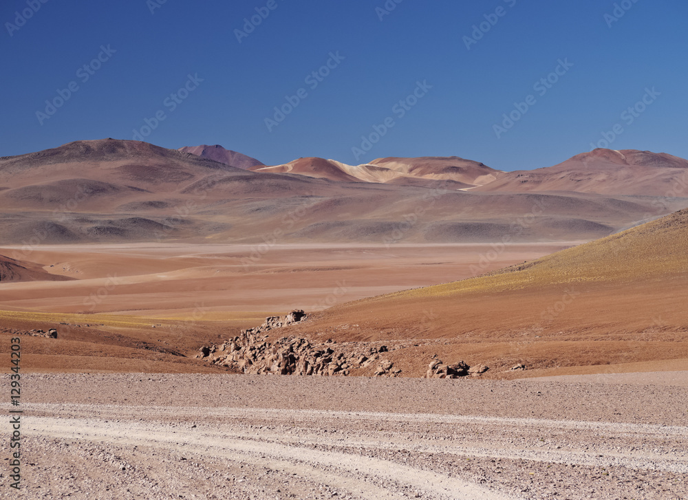 Bolivia, Potosi Departmant, Sur Lipez Province, Landscape of the Eduardo Avaroa Andean Fauna National Reserve.