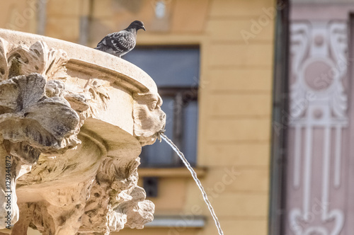 Close up of a fountain in the centre of decin