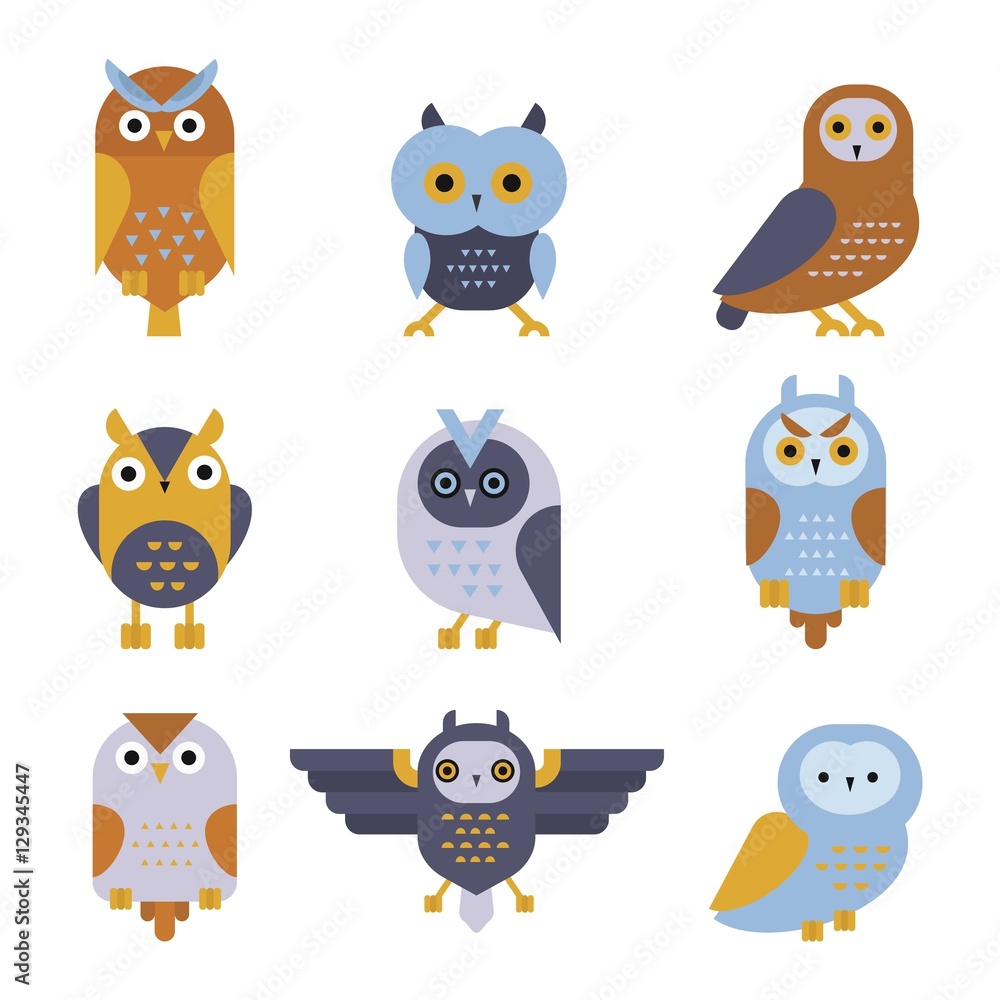 Owl wild bird cartoon vector.