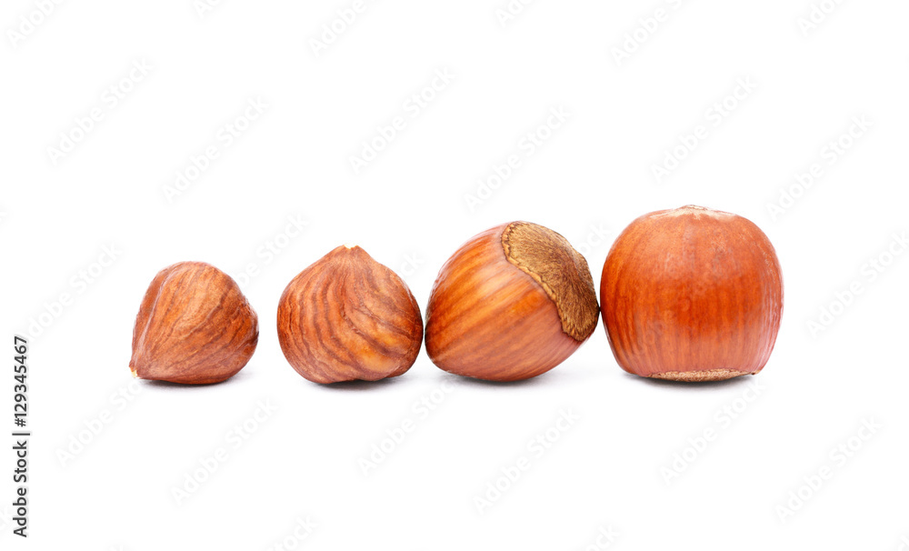 Group hazelnuts isolated on white background Group hazelnuts isolated on white background