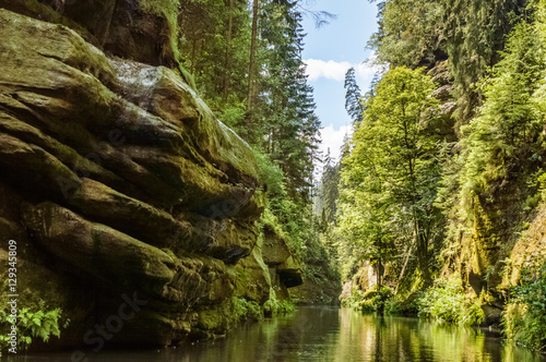 Magnificient view of a dense green hilly forest