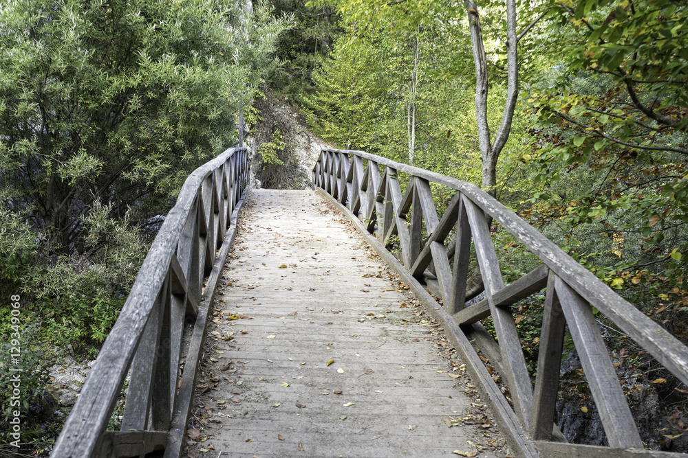 Fototapeta premium Vanishing old wooden footbridge with rails over river. Prionia, Mount Olympus, Pieria, Greece.