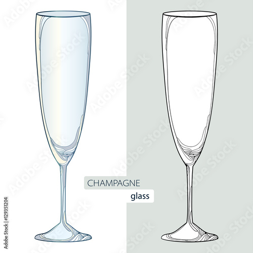 Vector illustration with contour champaign glass or flute in black and color isolated on white background. Outline glass for wine and winery in linear style for restaurant decor or coloring book.