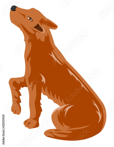Dog gives paw