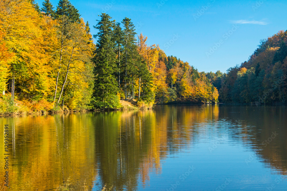 Reflection of trees on Trakoscan lake in Zagorje, Croatia, season, colorful autumn landscape Reflection of trees on Trakoscan lake in Zagorje, Croatia, season, colorful autumn landscape