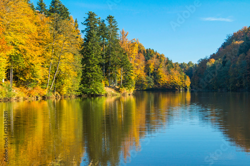  Reflection of trees on Trakoscan lake in Zagorje, Croatia, season, colorful autumn landscape 