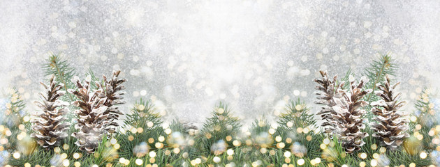 Pinecones and fir tree on sparkling background.