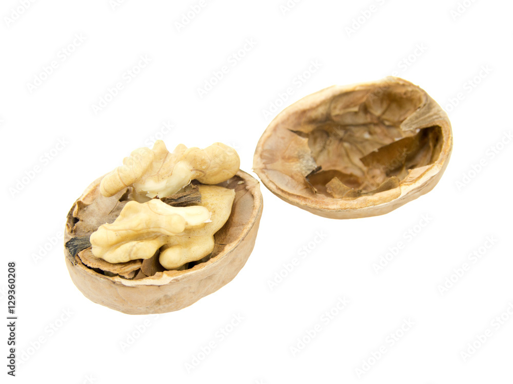 walnut and a cracked walnut isolated on the white background walnut and a cracked walnut isolated on the white background