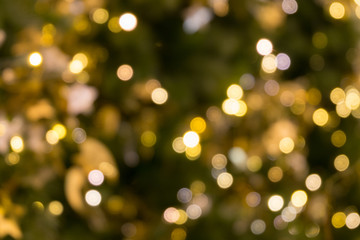 christmas tree bokeh light in green yellow golden color, holiday abstract background, blur defocused