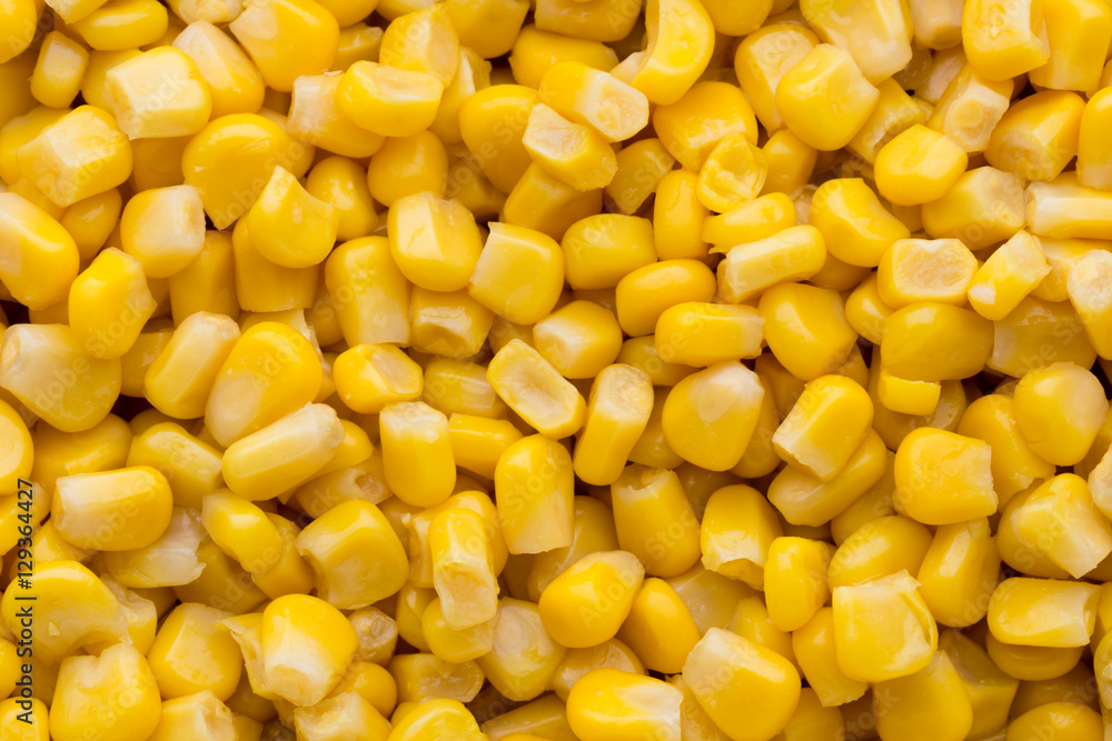 Bulk of yellow corn grains texture. Bulk of yellow corn grains texture.