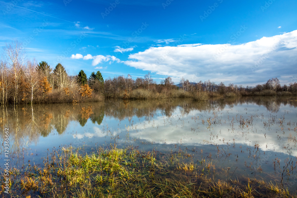 Panoramic landscape with forest and lake in sunny autumn  day