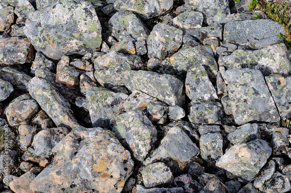 Gray stones background in tundra