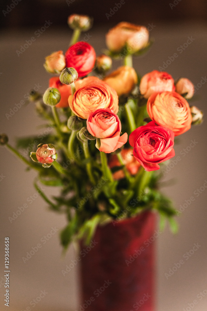 Fototapeta premium Ranunculuses Bouquet in the red vase on a blured beige background