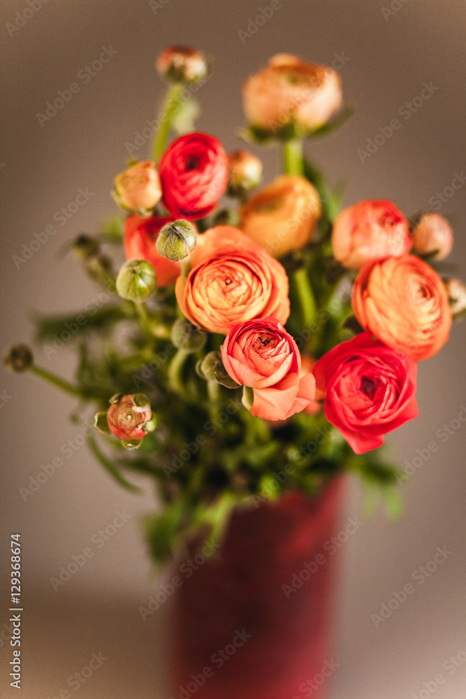 Fototapeta premium Ranunculuses Bouquet in the red vase on a blured beige background