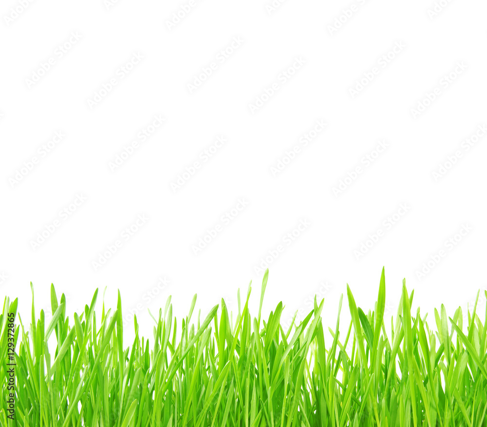 Green grass Green grass