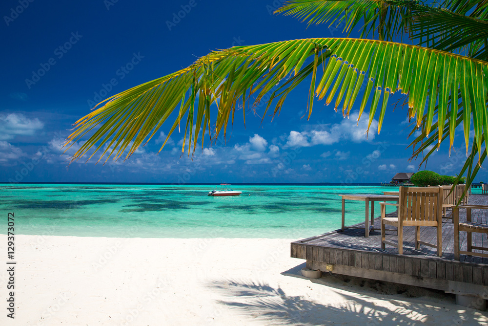 Fototapeta premium tropical beach in Maldives