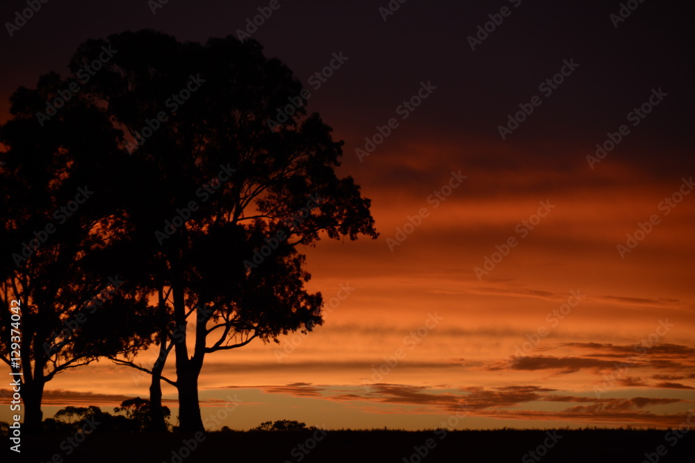 Fototapeta premium Country sunset