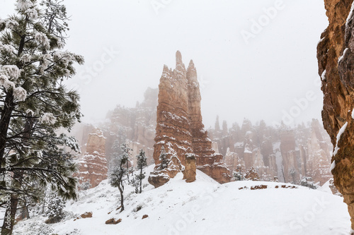 Falling Snow in Bryce Canyo...
