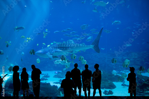 Tableau sur toile crowd at an aquarium