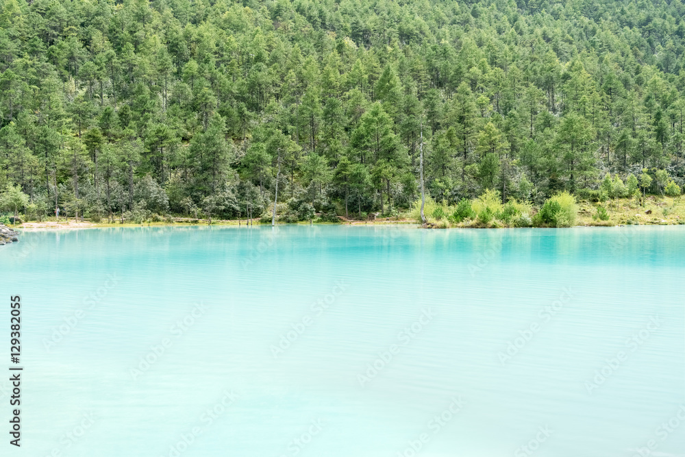 blue lake and green forest