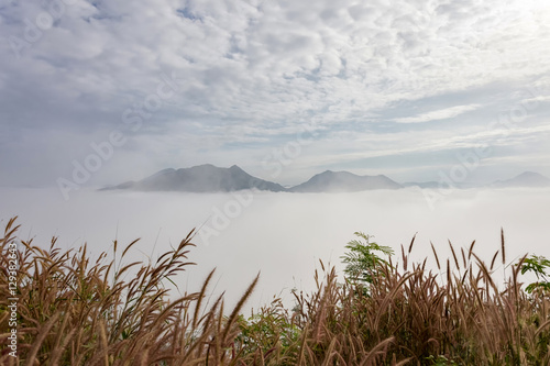 Landscape lot of fog over Phu Thok Mountain at Chiang Khan  Loei