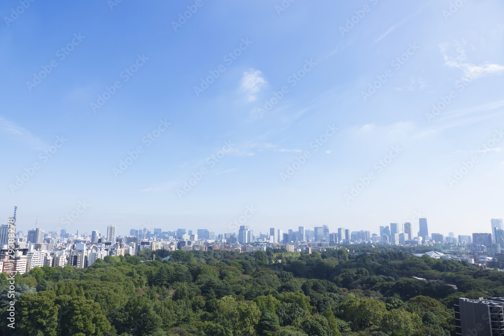東京都市全景　超ワイド　大空コピースペース　東京タワーと東京スカイツリー　新宿御苑の緑