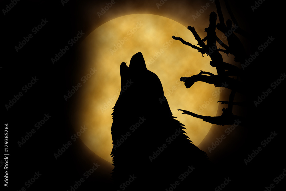 Fototapeta premium Wolf howling at the moon