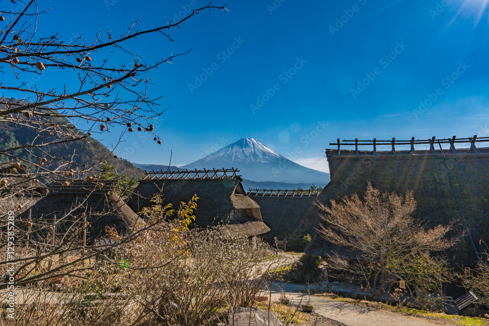 日本風景6 ジブリのような田舎風景 . . Xpro3 xf35mmf1.4 GFX50sⅡ gf32