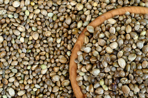 group of hemp seed photo