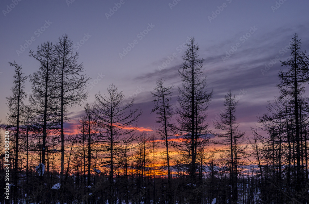 Obraz premium Winter sunset