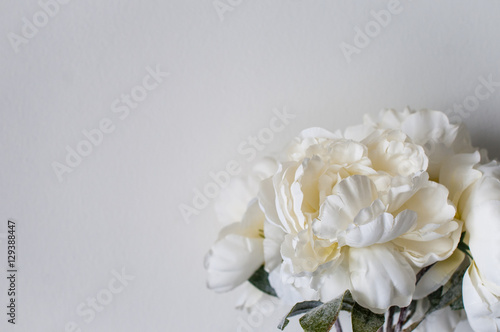 Flowers on the white wall © Alina