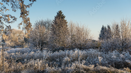 Frostige Winterlandschaft