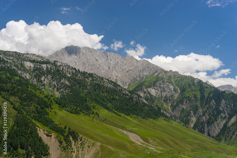 Sonamarg mountain landscape in summer, Sonamarg, Jammu Kashmir,