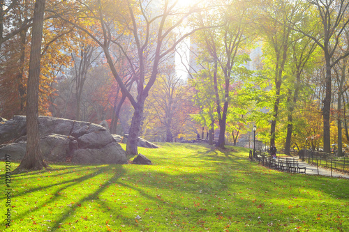 Central park New York.
