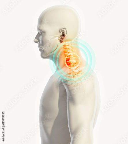 Neck painful - cervica spine skeleton x-ray, 3D illustration. photo