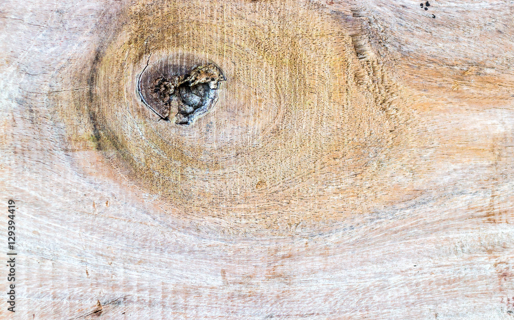 Fototapeta premium Wood Wall For text and background