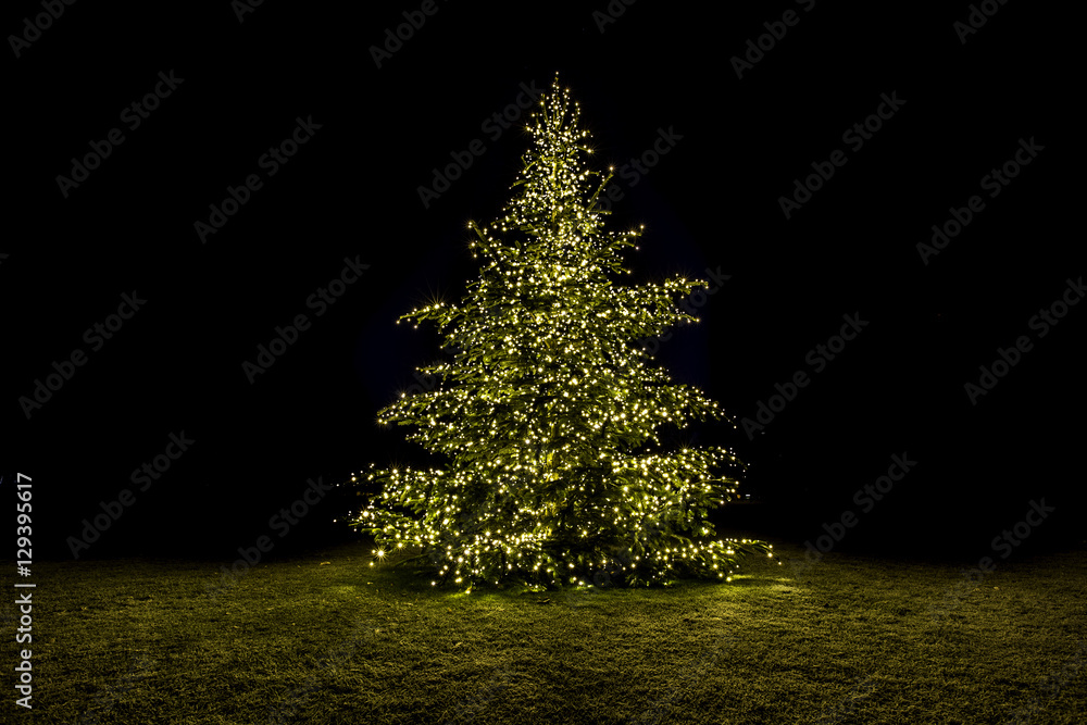 Beleuchteter Tannenbaum auf einer Wiese foto de Stock Adobe Stock